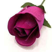 Violet Half Open Roses 6-Pack