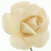 Wholesale Full Open Bud Wooden Roses FULL CASE 100 Bunches, Mix and Match Colors, Price is per Bunch