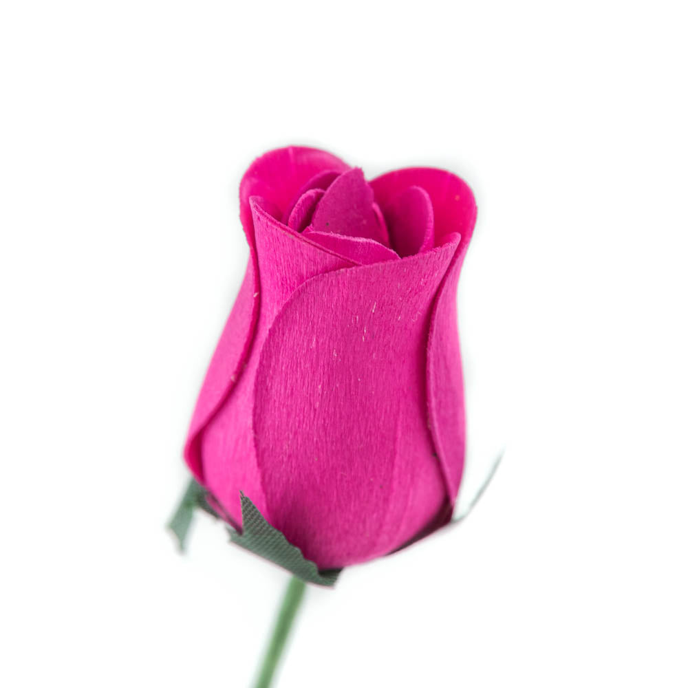 Hot Pink Closed Bud Roses 8 Pack